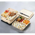 100% Compostable Sugarcane pulp Lunch Box